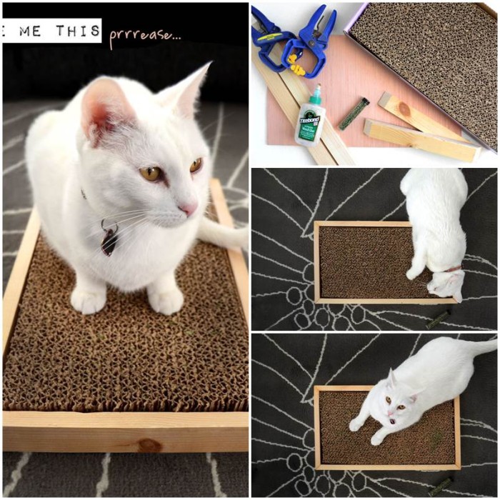 diy fleece cat toys