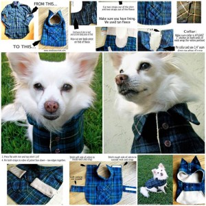 DIY Dog Coat with Dollar Store Materials | LovePetsDIY.com