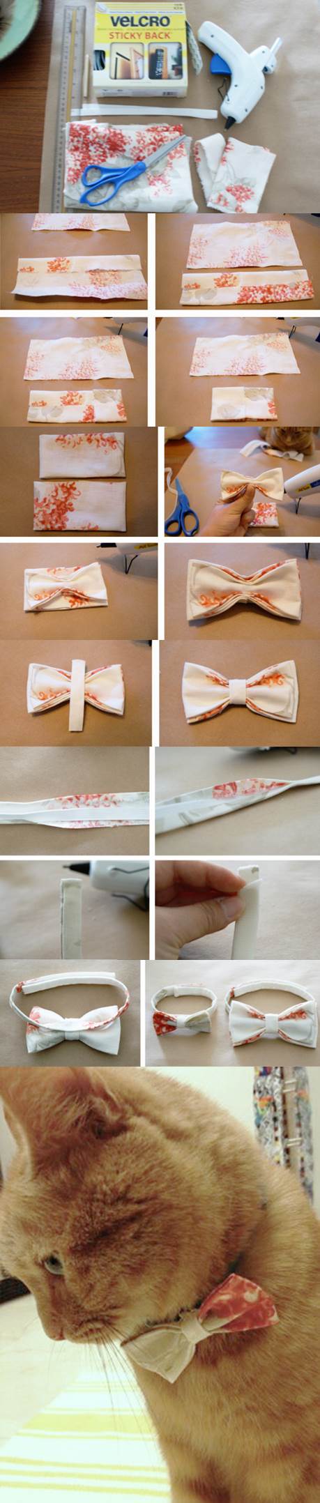 DIY No-Sew Bow Tie for Dogs and Cats 2