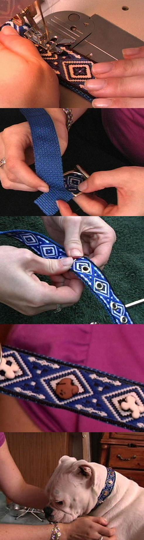 DIY Dog Collar with Cute Little Dog Buttons 2