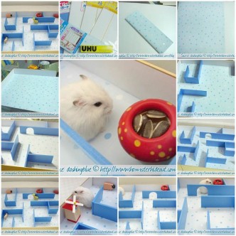 easy diy hamster maze