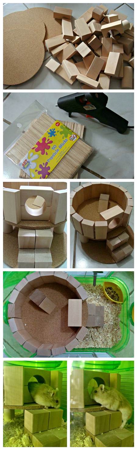 DIY Hamster Play House 2