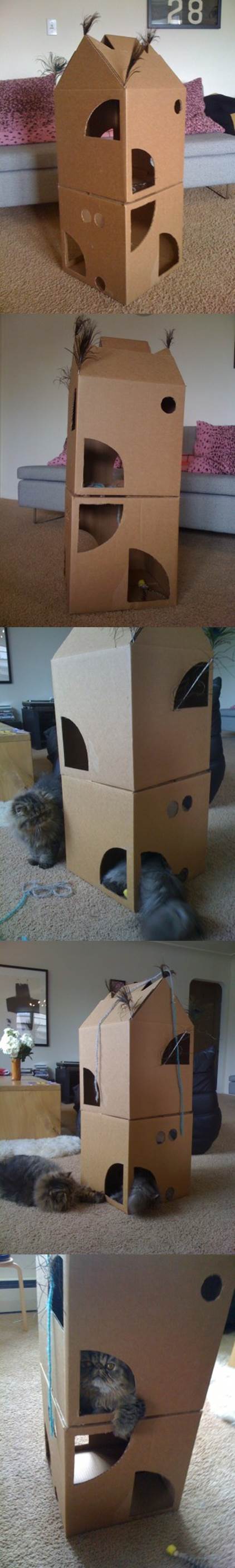 DIY Two-Story Cardboard Cat Climber 2