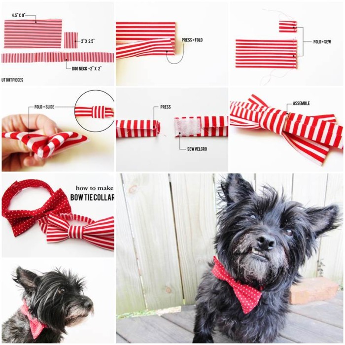 DIY Martingale Collar | LovePetsDIY.com